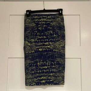 Alexander McQueen skirt
